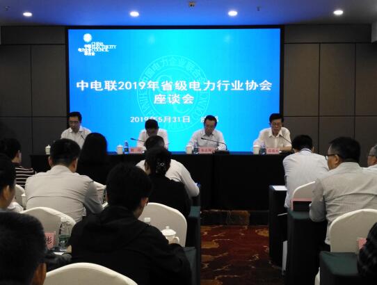 中电联2019年省级电力行业协会座谈会在成都召开(图1)